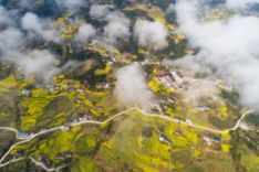 宣恩县伍家台村茶旅文化_伍家台村茶山_莱芜东亚家居城茶台