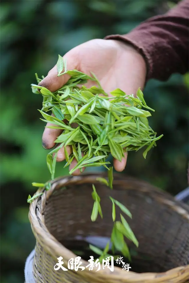 茶家屯文化墙_永胜县边屯文化博物馆_官屯堡乡车进家