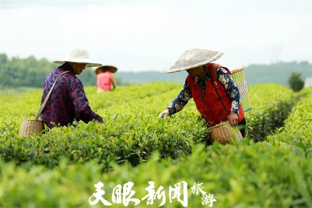 官屯堡乡车进家_永胜县边屯文化博物馆_茶家屯文化墙